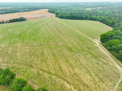 2833 Omussee Rd, Dothan, AL 36303 - photo 5