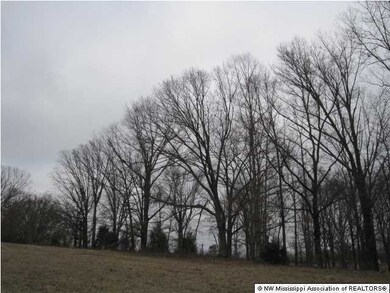 200 Ranch Rd, Hernando, MS 38632 - photo 3