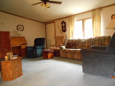31038 Ivanhoe Ave, Camp Douglas, WI 54618 - photo 4