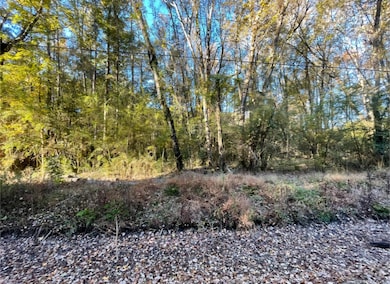 00 Digit Rd, Summerville, SC 29483 - photo 5