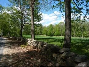 651 E Deering Rd, Deering, NH 03244 - photo 5