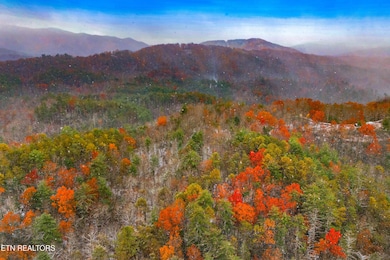 0 Old 15th Rd, Hartford, TN 37753 - photo 4