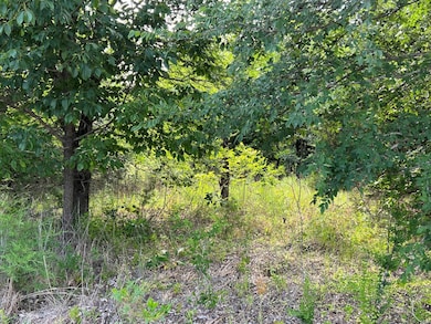 165 Deerfield Rd unit Lot 72, Colbert, OK 74733 - photo 2