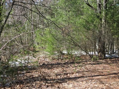 262 Old Warren Rd, Palmer, MA 01069 - photo 3