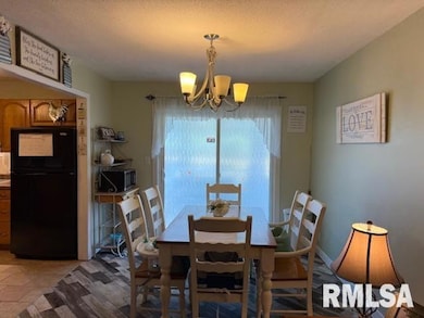 404 N Maple St, Christopher, IL 62822 - photo 6