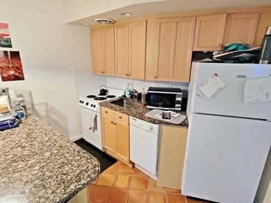 512 Green St unit 1A, Cambridge, MA 02139 - photo 4