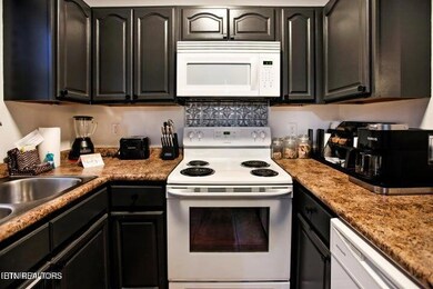 1709 Willow Trace Ct, Pigeon Forge, TN 37862 - photo 4