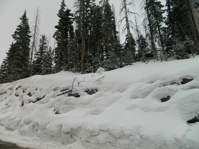 364 E Steam Engine Dr unit CBME U-B L-51, Brian Head, UT 84719 - photo 3