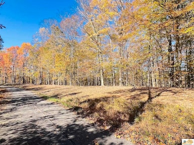 740 Jay Wheeler Rd, Columbia, KY 42728 - photo 3