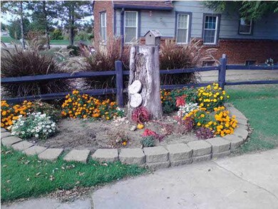 FRONT YARD