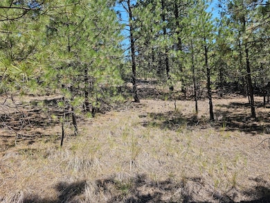 NHN Upper Sawmill Creek Rd, Cascade, MT 59421 - photo 4