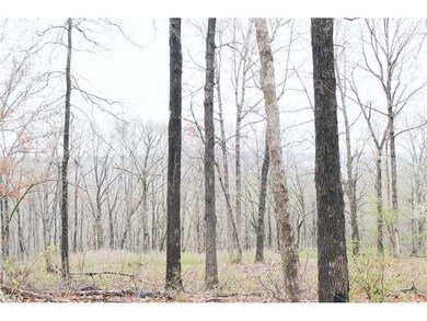 0 Bug Scuffle Rd unit 704288, West Fork, AR 72774 - photo 7