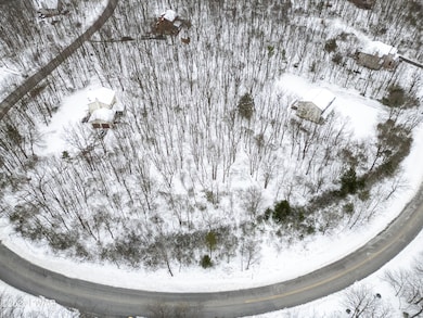 Lot 103 Russell Ct, Indian Mountain Lake, PA 18330 - photo 4