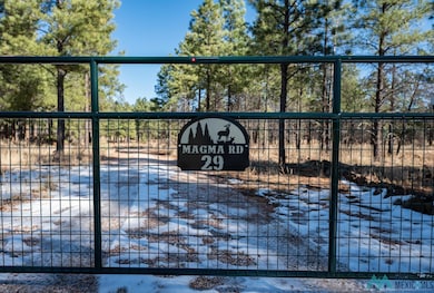 29 Magma Rd, Grants, NM 87020 - photo 2