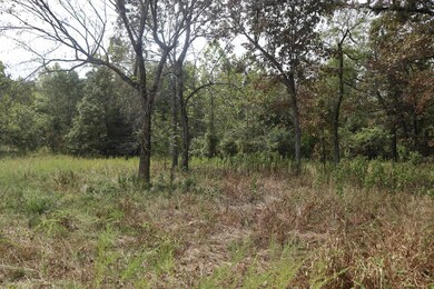 253 Coyote Rd, Salem, AR 72576 - photo 6