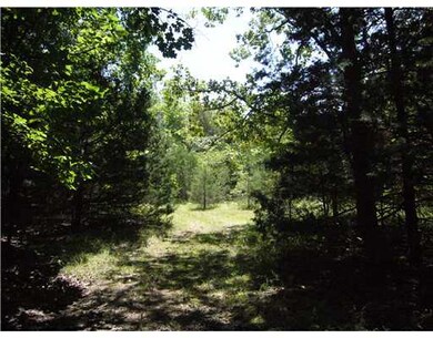 0 Hwy 156 unit 626377, West Fork, AR 72774 - photo 5