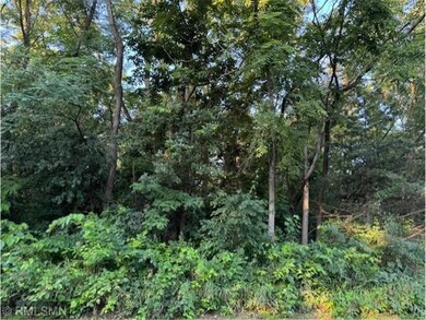 Three Village lots o Fifth & Elm Street St, Pepin, WI 54759 - photo 4