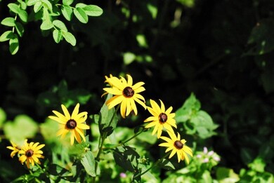 1802 Sheridan St, Madison, WI 53704 - photo 6