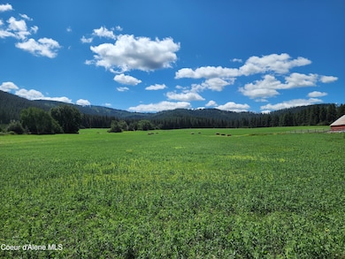 NKA Desmet, Desmet, ID 83824 - photo 3