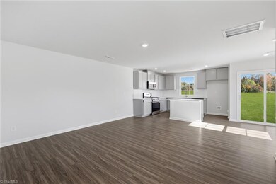 168 Plumtree Ct, King, NC 27021 - photo 4