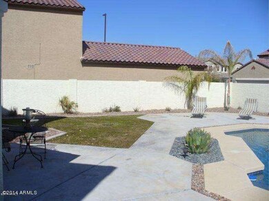 back yard