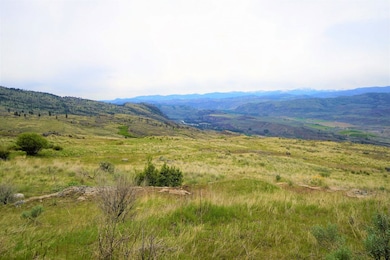 0 McLaughlin Canyon Rd unit 23949703, Tonasket, WA 98855 - photo 2