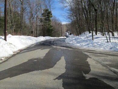 0 River Ct unit PM-62467, Pocono Lake, PA 18347 - photo 6