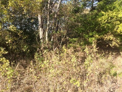 12+ AC White St, Bonham, TX 75418 - photo 2