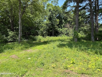 14 McGee Rd, Egremont, MA 01230 - photo 3