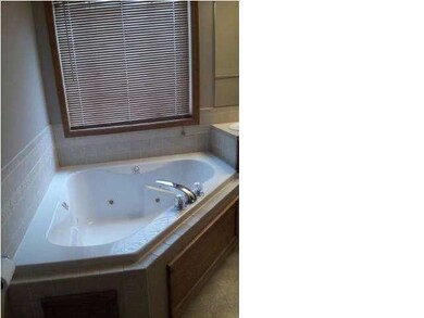 JETTED TUB IN MASTER