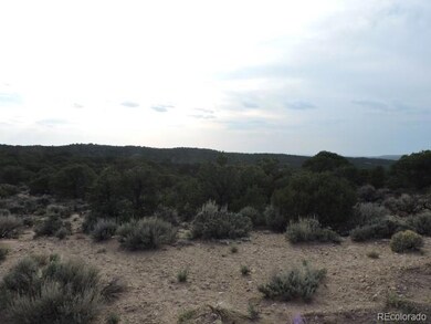 3788 Regan Place, Fort Garland, CO 81133 - photo 2