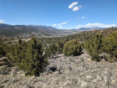 Lot 4425 Clausen Rd, Fort Garland, CO 81113 - photo 4