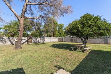 Huge backyard