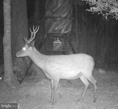 0 Andrews Rd unit 1001675899, Crapo, MD 21626 - photo 2