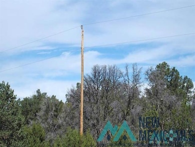 TBD Five Gate Rd, Candy Kitchen, NM 87357 - photo 7