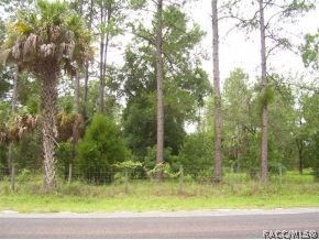 Lightly wooded property