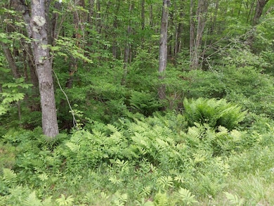 M19-L16-1 Augusta Rd, Jefferson, ME 04348 - photo 4