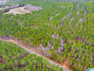 00 County Road 632 unit Acres, Roanoke, AL 36274 - photo 5