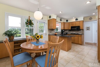 8 Monroe Ct, Princeton, NJ 08540 - photo 7