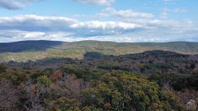 1 W Hill Rd, Austerlitz, NY 12017 - photo 6