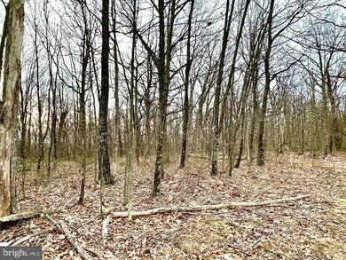 Lot 4 N Timber Ridge Rd, Cross Junction, VA 22625 - photo 7