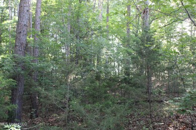 IMG_4046