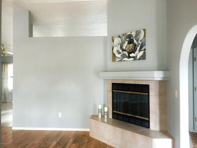 Living Room Fireplace
