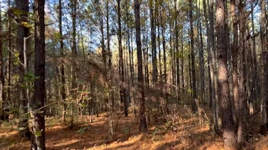 3294 Brady Rd, Letohatchee, AL 36047 - photo 4