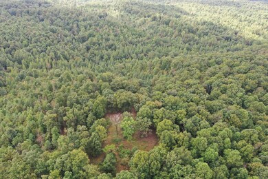 0 Old Hwy 20, Linden, TN 37096 - photo 2