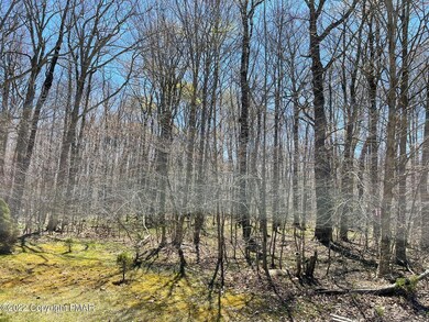 25 Annette Marie, Long Pond, PA 18334 - photo 3