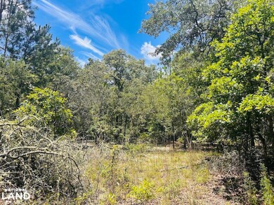 0 Moores Chapel Rd unit 25800784, Mauk, GA 31058 - photo 6