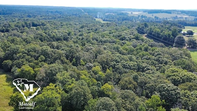 0 Wilkinsville Hwy unit 24507294, Gaffney, SC 29340 - photo 4