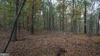 0 Jordan Hollow Ln unit 1000167925, Berkeley Springs, WV 25411 - photo 5