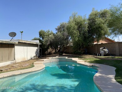 backyard pool 1